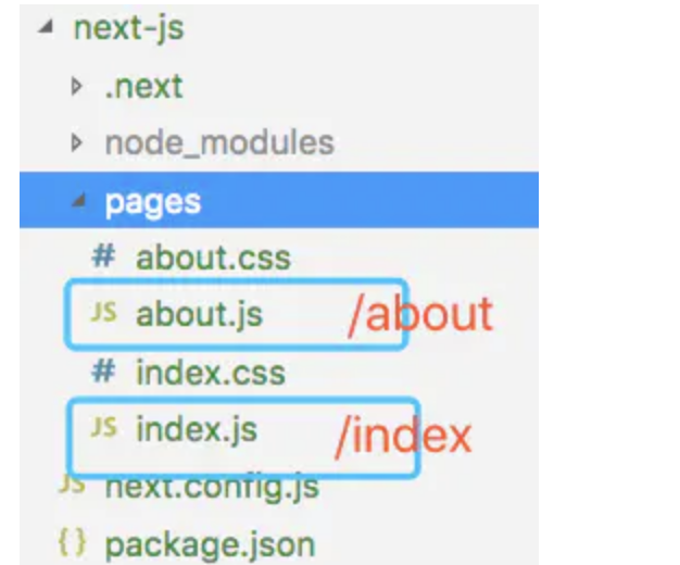 image-20210214221212572